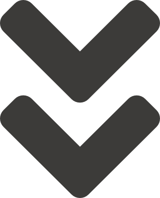 Logo Icon